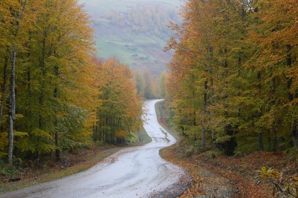 Karadeniz'de renk cümbüşü