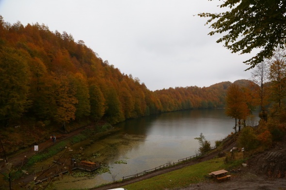 Karadeniz'de renk cümbüşü