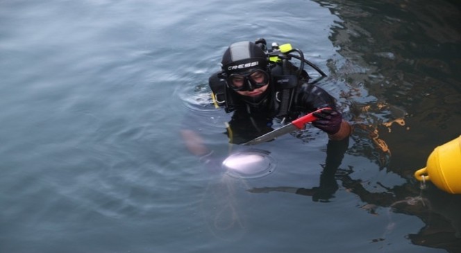 Birlikte Alkol Aldığı Arkadaşını Öldüren Zanlı Jandarmadan Kaçamadı