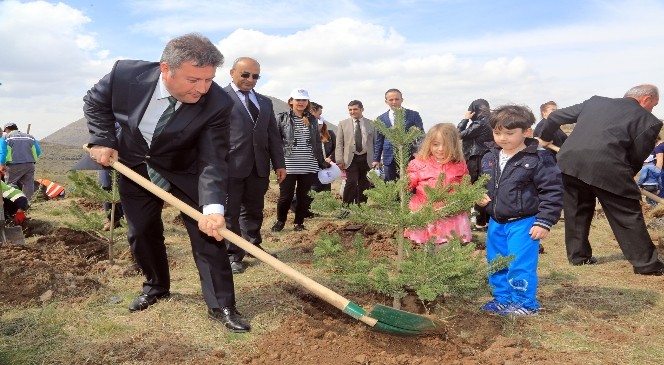 Talas'n Fidanlar Yarnlar in Fidan Dikti