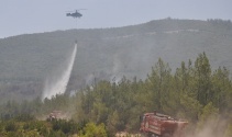 İzmirde 4 ayrı orman yangınında 300 hektar yandı