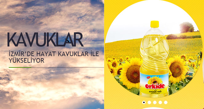 İki dev şirkete kayyum atandı