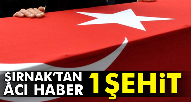 Şırnak'ta 1 asker şehit oldu