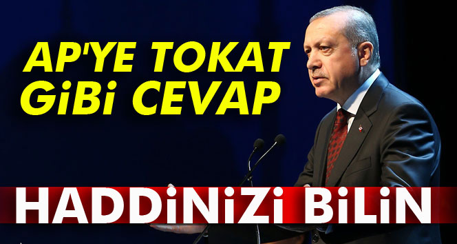 Erdoğan'dan Avrupa Parlamentosu'na: 'Haddinizi bilin'