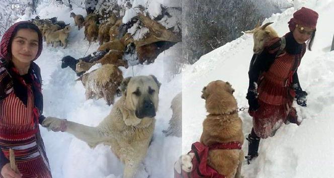 Rize'nin Heidisi ile ilgili görsel sonucu