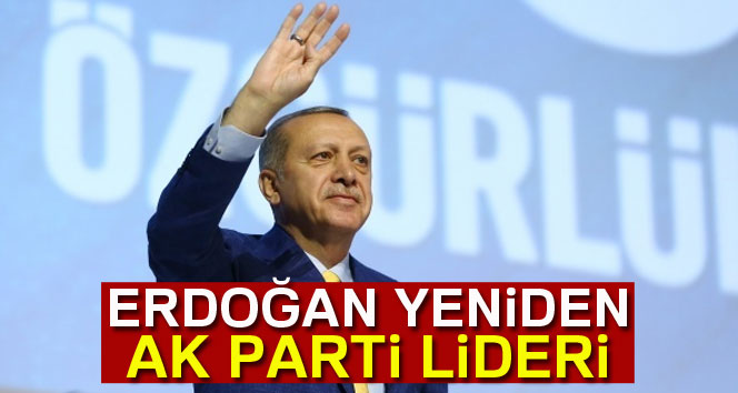 Cumhurbaşkanı Erdoğan yeniden AK Parti lideri