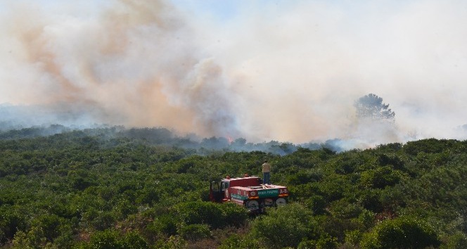 Sancaktepe’de askeri alanda yangın