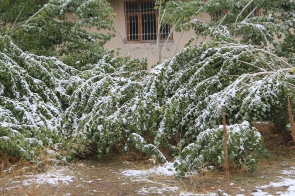 Başkale’de kış erken başladı