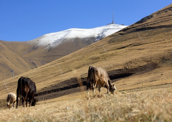 Erzurum’da yüksek kesimlere kar yağdı, hava buz kesti