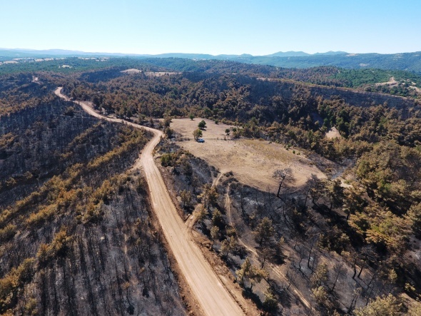 Çanakkale’de yanan orman alanları ilk kez drone ile görüntülendi