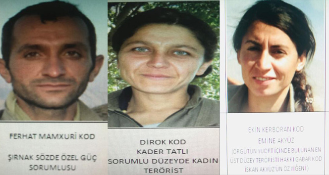 PKKnın sözde özel güç sorumlusu etkisiz hale getirildi