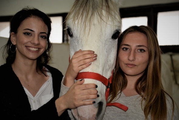 Üniversiteli kızlar, ojeli ellerle atlara nal çakıyor