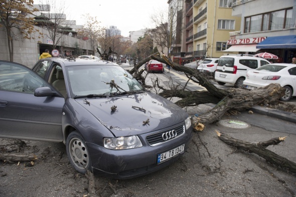 Başkent’te otomobilin üstüne ağaç devrildi!