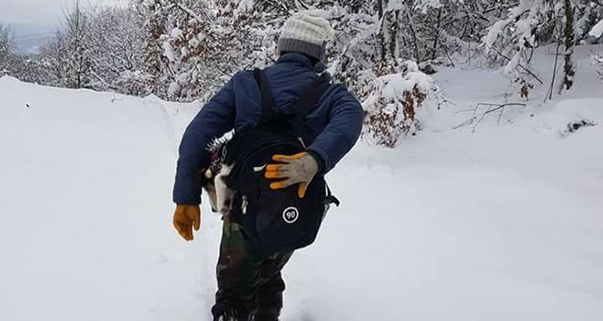 Hastalanan köpeğini çantasında 7 kilometre taşıdı