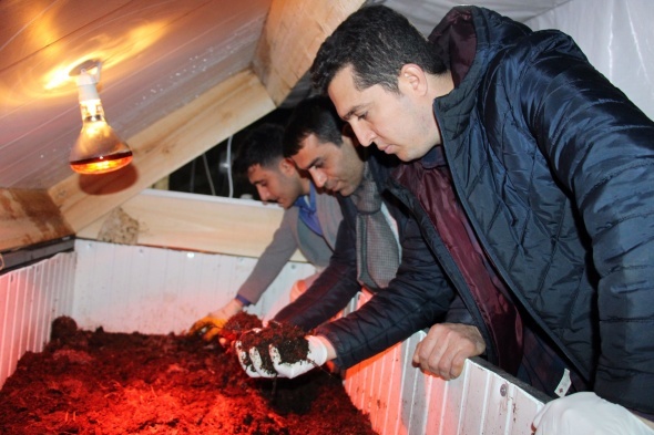 3 arkadaş internette görüp bu işe girdi! Şimdi ise ayda 15 bin lira kazanıyorlar...
