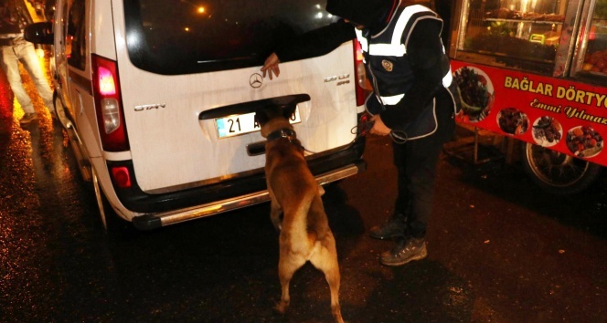 Diyarbakırda 600 polis ve dedektör köpeklerle asayiş uygulaması