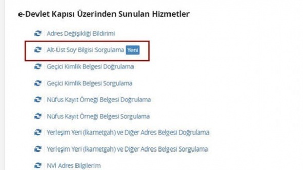 Soyağacına günlük kota! 310 binden fazla kişi soyunu öğrendi