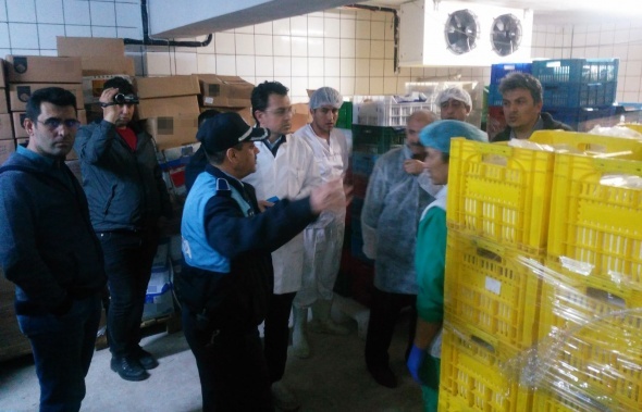 Dev süt ürünleri tesisinde küflü kaşar skandalı