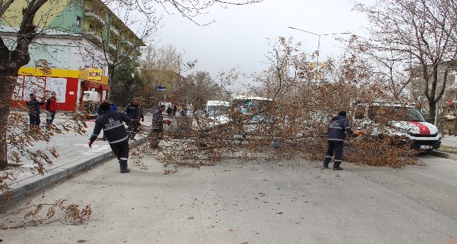 Erzurum?da şiddetli rüzgar hayatı adeta felç etti