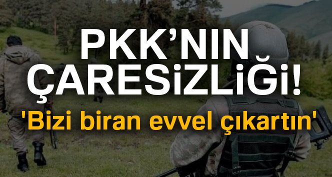Karadeniz'de PKK Çaresiz Kaldı