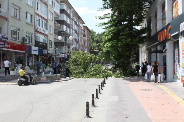 Sesi duyan dıÅarı fırladı! Nedeni ise...