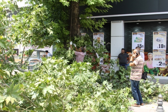Sesi duyan dıÅarı fırladı! Nedeni ise...