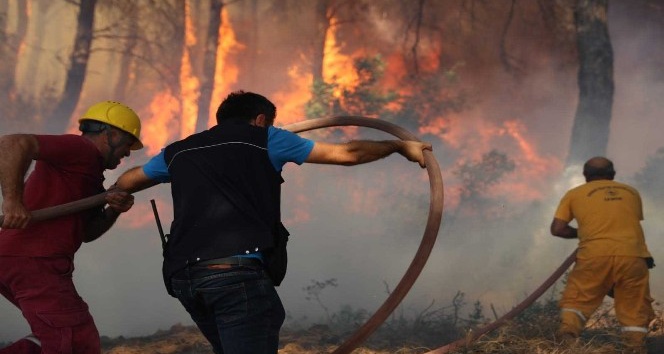 İzmir’deki orman yangınına ilişkin 1 kişi gözaltında