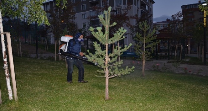 Palandöken Belediyesi park ilaçlama çalışmalarına başladı