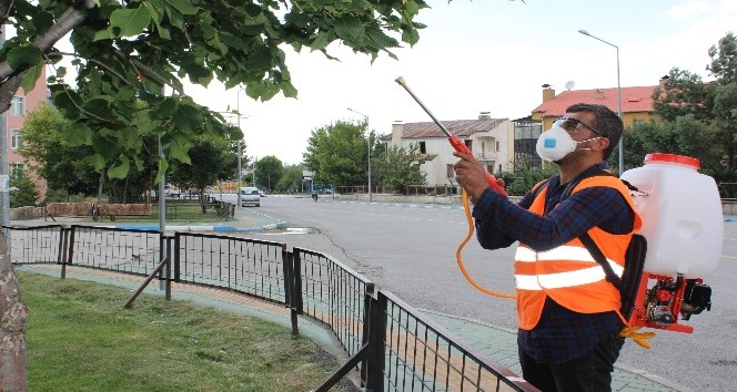 Aziziye?de kapsamlı ilaçlama çalışması