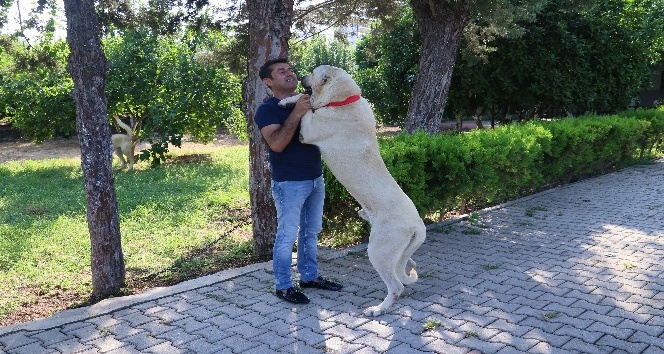Antalya tatili ödüllü