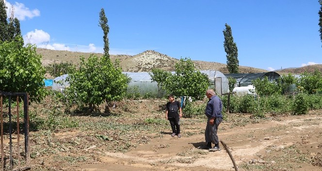 Sel suları sera ve ekili alanlara zarar verdi