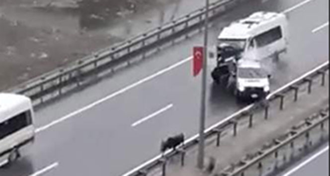 Kurbanlık boğa Trabzonda kazaya neden oldu: 5 yaralı