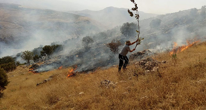 Piknikçilerden kalma küller az daha beldeyi yakıyordu