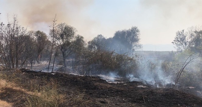 İznik’te sazlık yangını