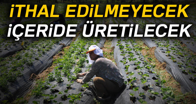 İthal edilmeyecek içeride üretilecek