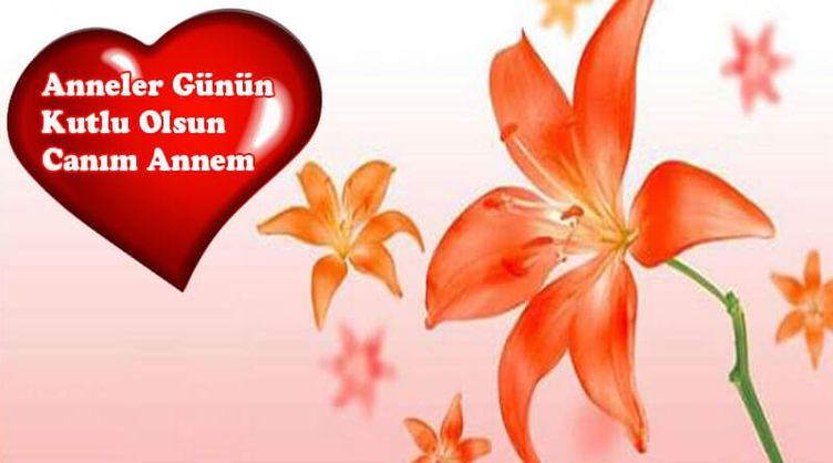 Anneler Günü Mesajları 2017 | Resimli Anneler Günü Mesajları ( 2017 Anneler Günü mesajları ve şiirleri)