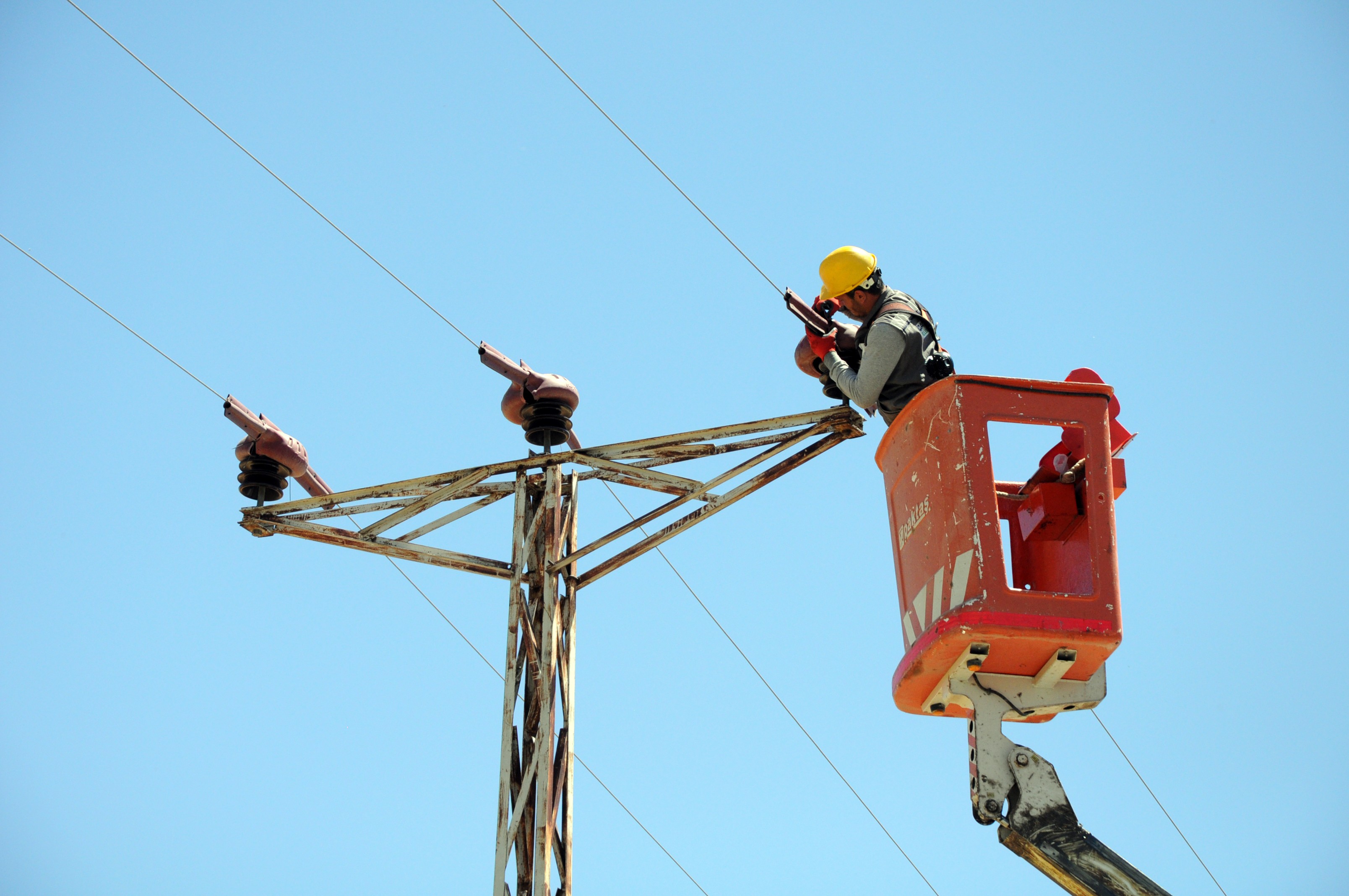Göçmen kuşlar 'ölmesin' diye 4 milyon lira harcadılar