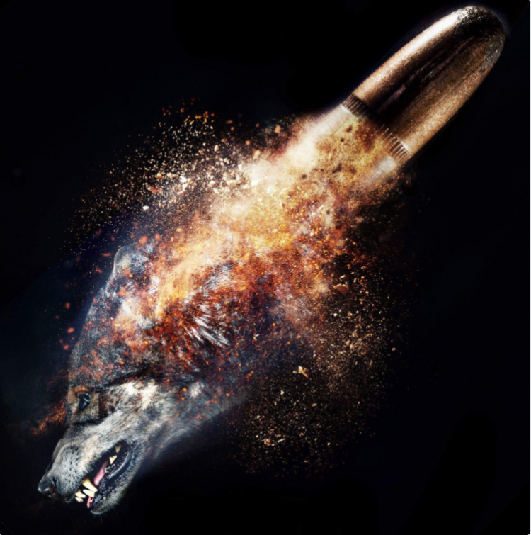 Börü ne zaman başlayacak? Börü ilk fragmanı yayınlandı