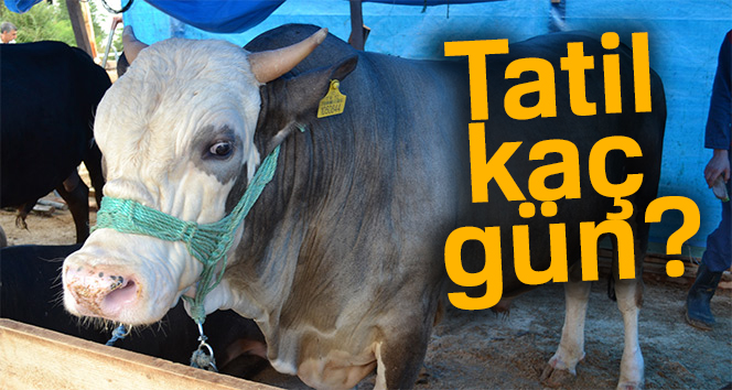 Kurban Bayramı ne zaman? 2018 Kurban Bayramı tatili kaç gün sürecek? | 2018 bayram tatili