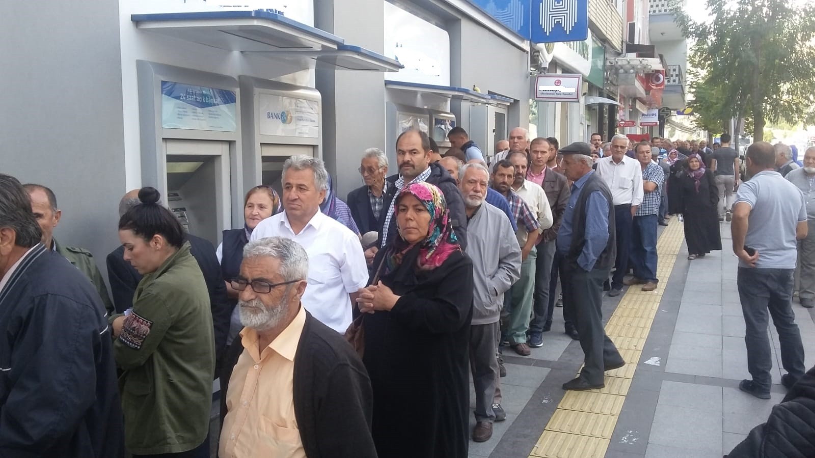 Ev sahibi: ekim ve bakım Ev sahibi: ekim ve bakım