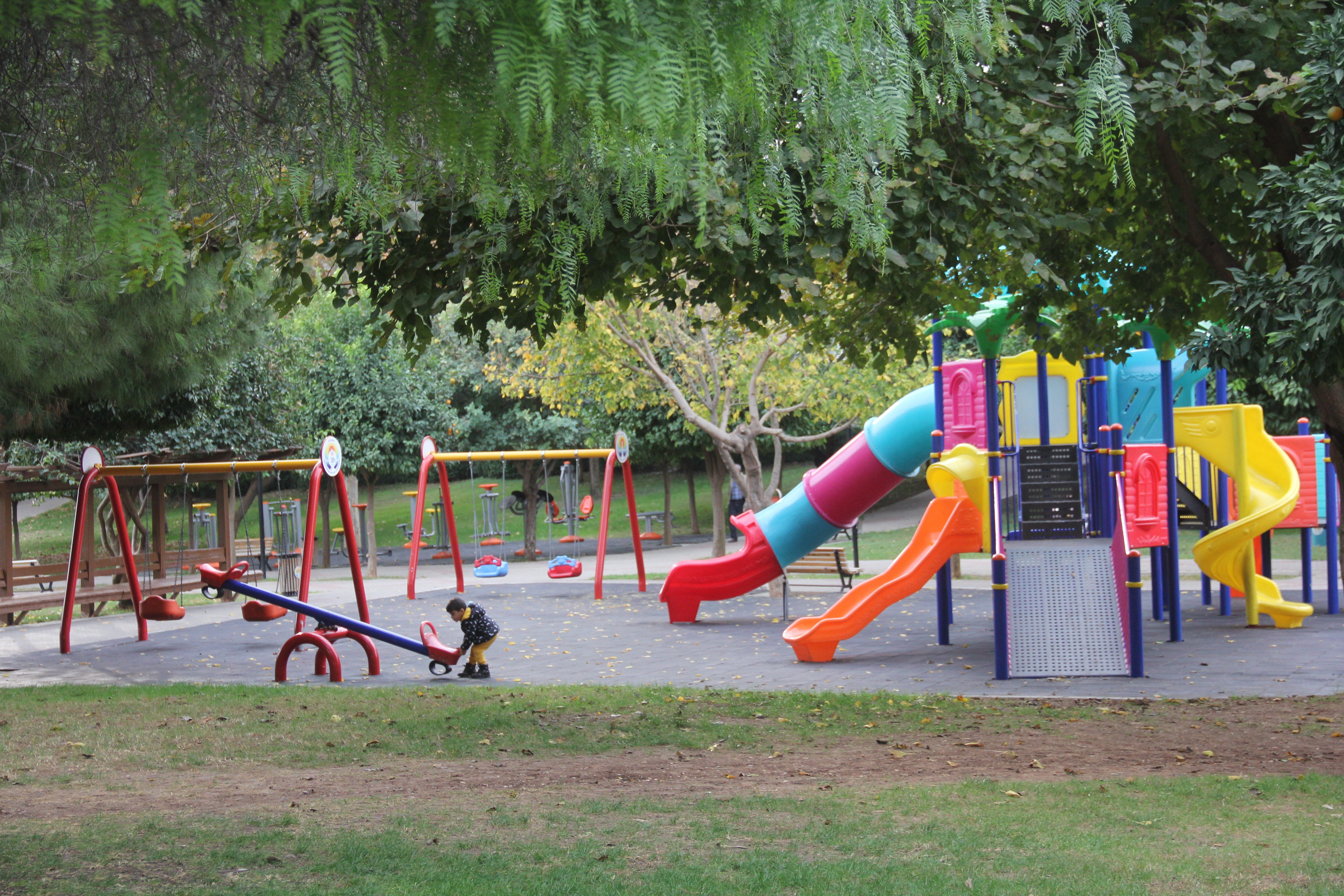 Parkta fotoğraf çektirdiği için öldürüldü