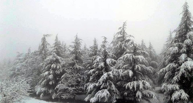 Kar Ne Zaman Yağacak 2019 İstanbul| Bu Sene kar ne zaman yağacak?