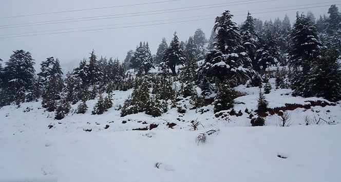 Kızıldağ Yaylası beyaza büründü