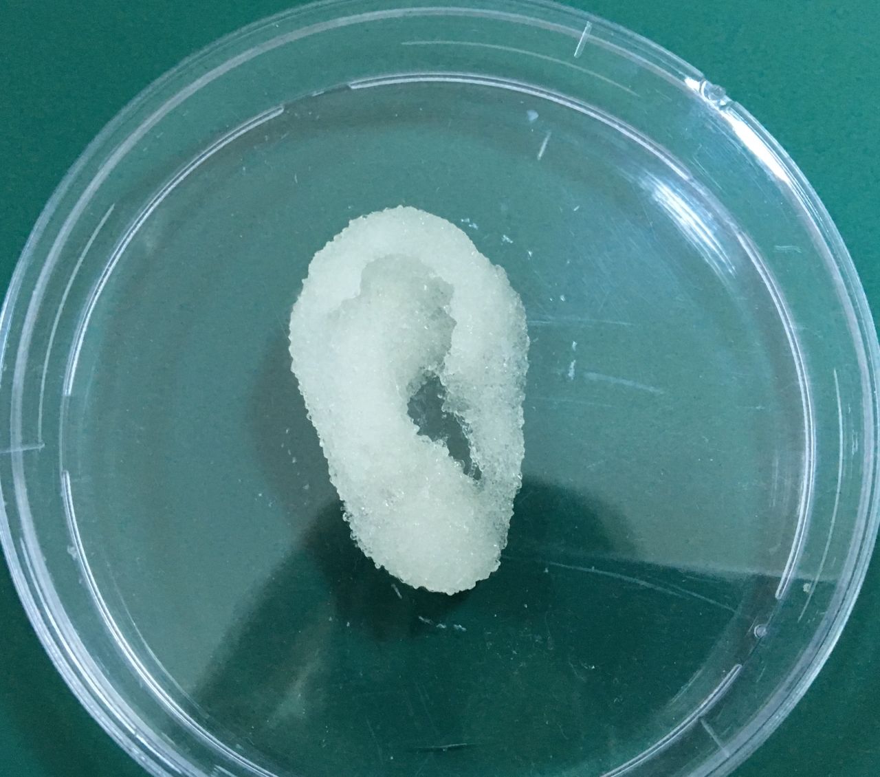 KKTC’de ilk yerli 3 boyutlu biyo-yazıcı geliştirildi