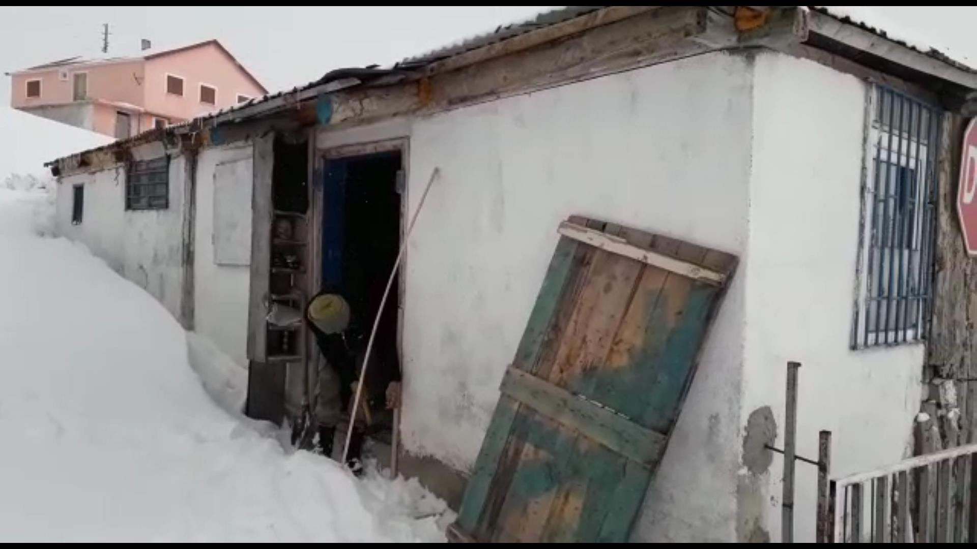 Ayılar kış uykusundan uyandı, yayla evlerini mesken tuttu