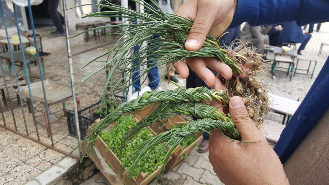 Zuzubak otu, kilosu 600 liradan alıcı buluyor