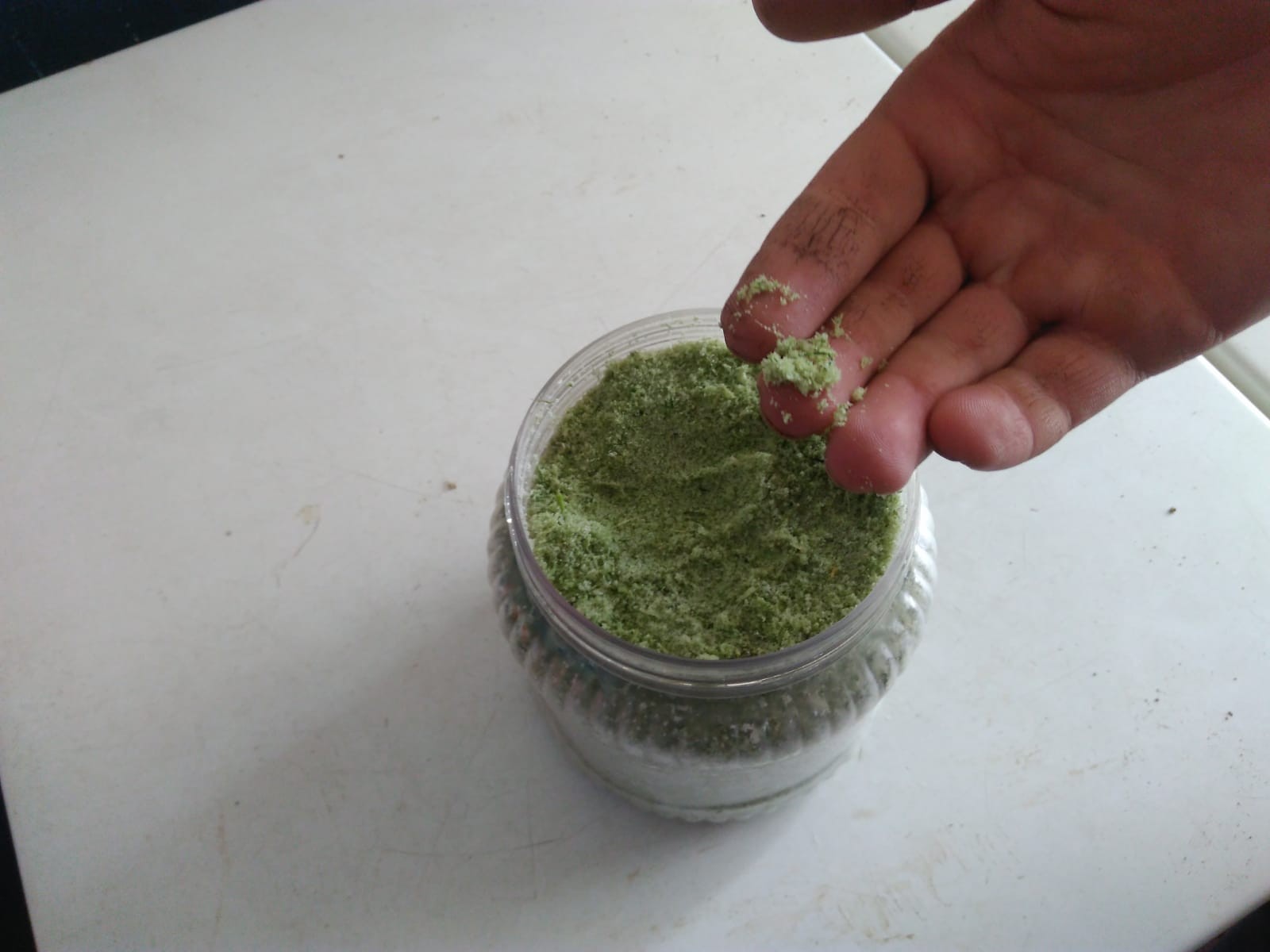 Zuzubak otu, kilosu 600 liradan alıcı buluyor