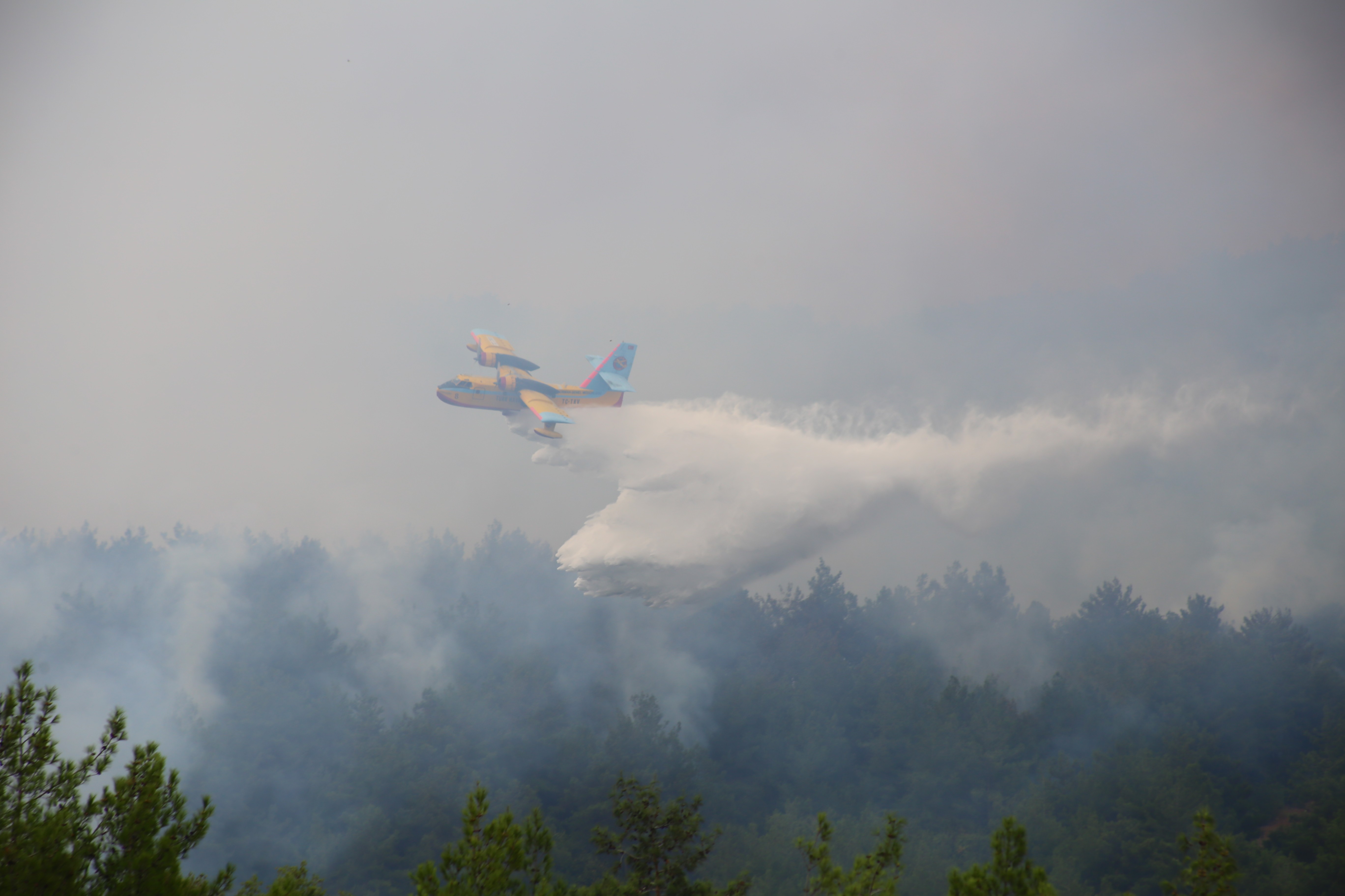 Soğukoluk Yaylası'nın eski haline gelmesi 50 yıl sürecek