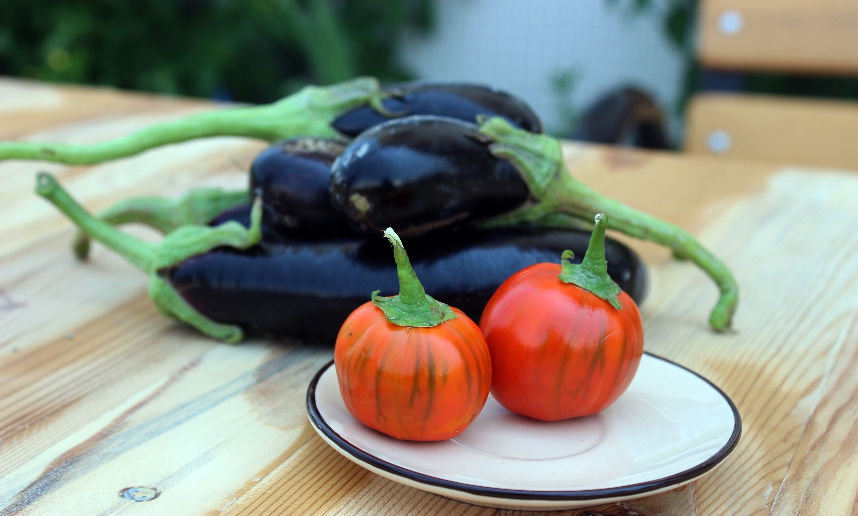 Domates görünümlü patlıcan, görenleri şaşırttı