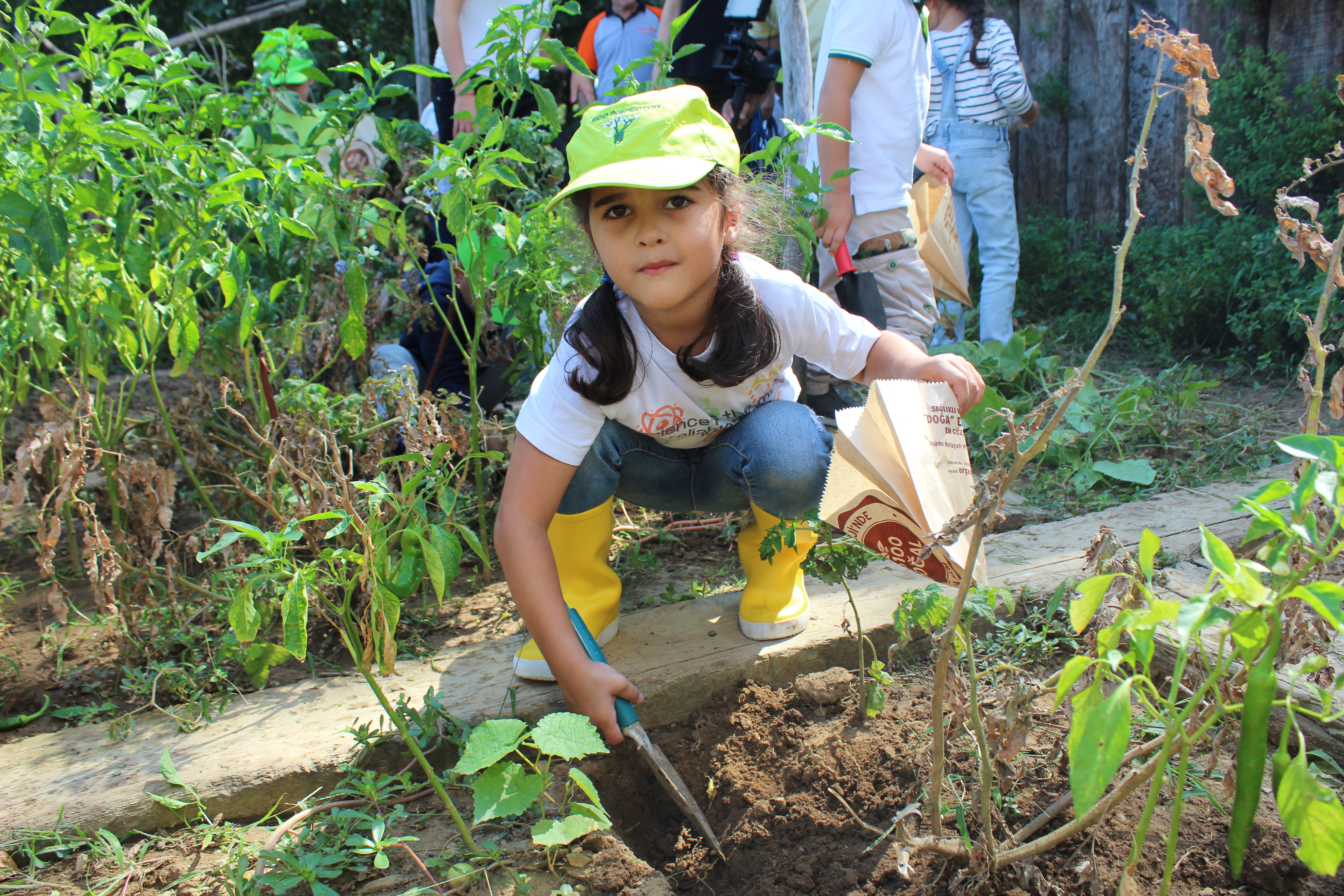 Küçük çiftçiler Hasat Festivali'nde ürünlerini topladı